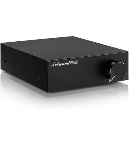 Amazon | ラステーム PCオーディオ対応 RDA-520 50W+50W （4Ω）フル